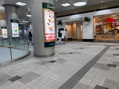 SHIBUYA TSUTAYA方面へ向かう途中の進行のない横断歩道